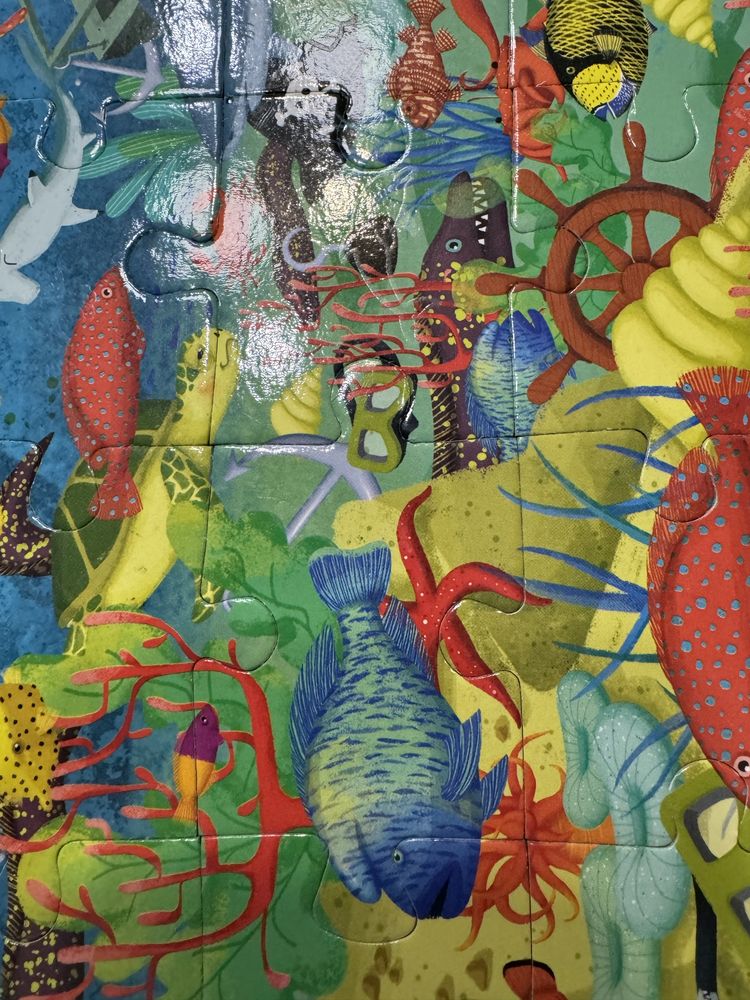 Explore the sea life