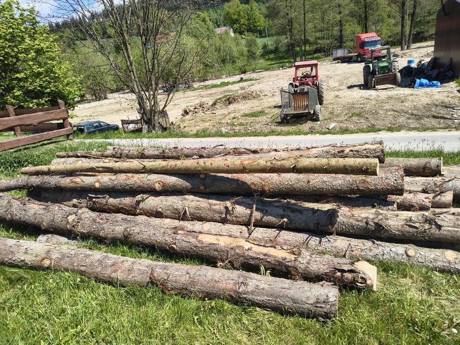 Drewno opalowe świerk