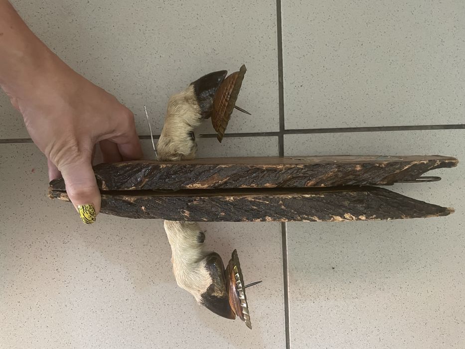 Підсвічники з копит тварин.