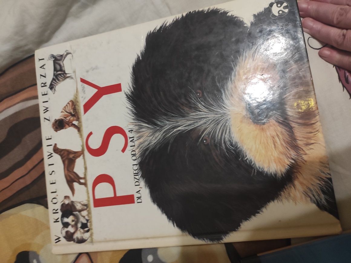 Albumy książki zwierzęta dzikie koty niedźwiedzie rekiny psy