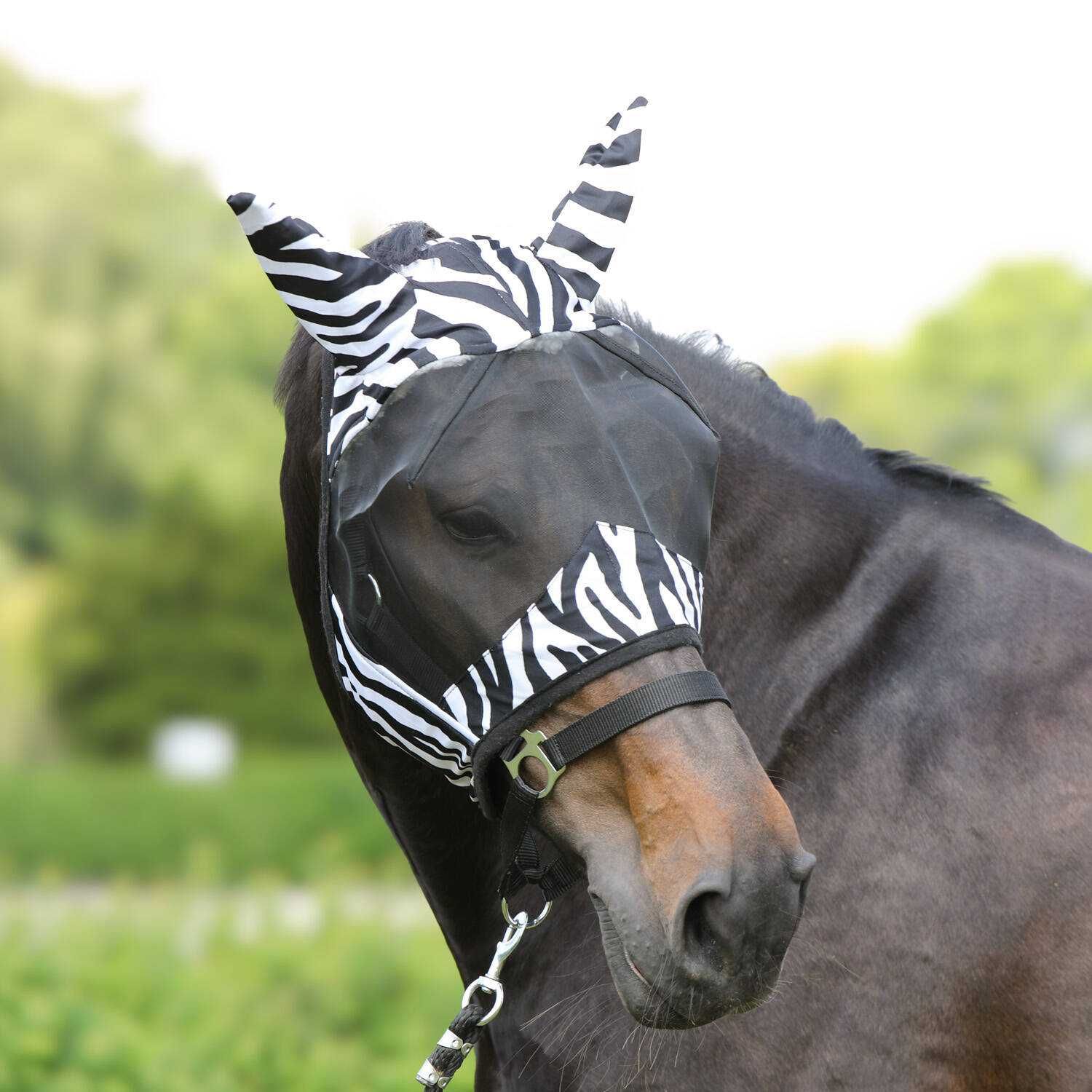 YORK maska przeciw owadom Zebra rozmiary