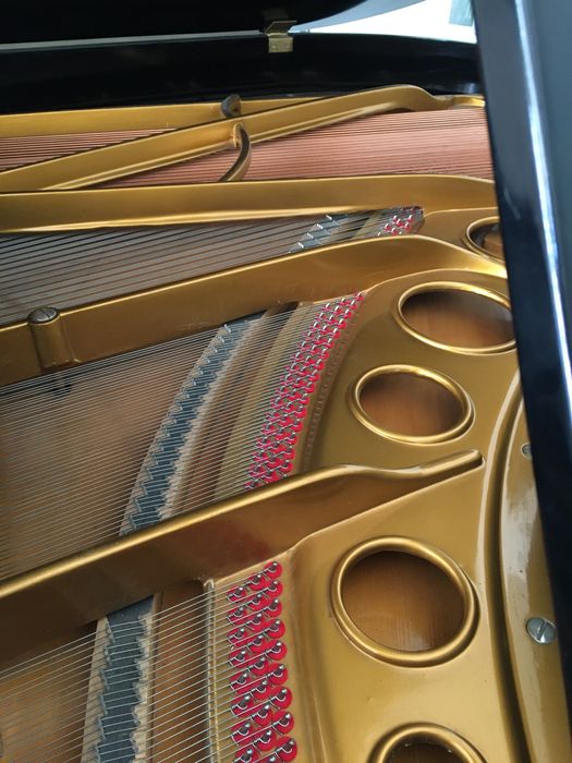 Piano 1/4 cauda Bosendorfer