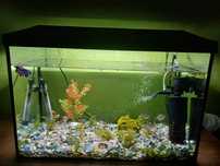Akwarium aquel day&night 72L