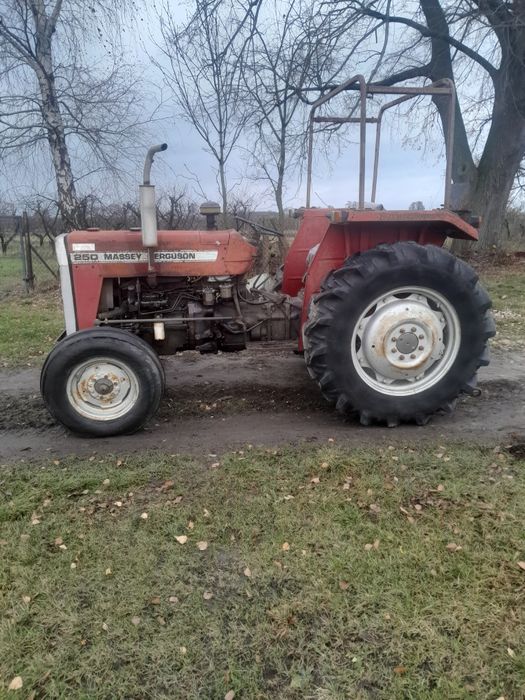 Massey Ferguson 250