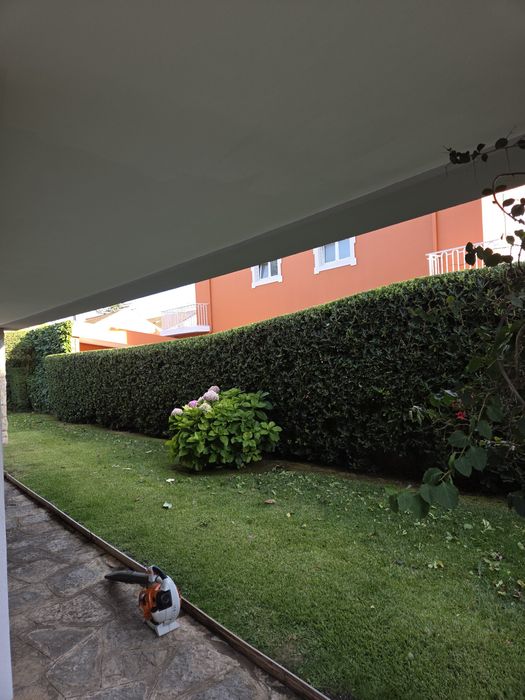 Manutenção de  jardins