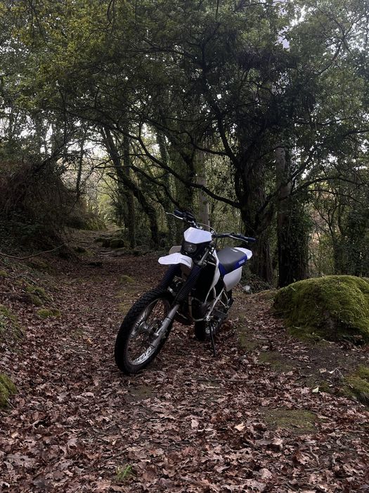 Yamaha Dtr 125cc