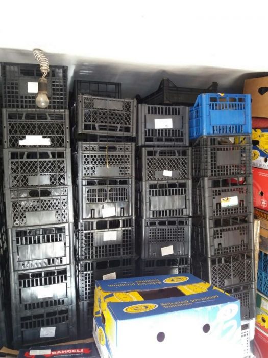 Ящики 200шт.,бананові ящики