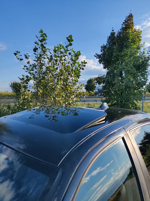 Seat Leon 1.9 TDI 110KM 2005 Rok