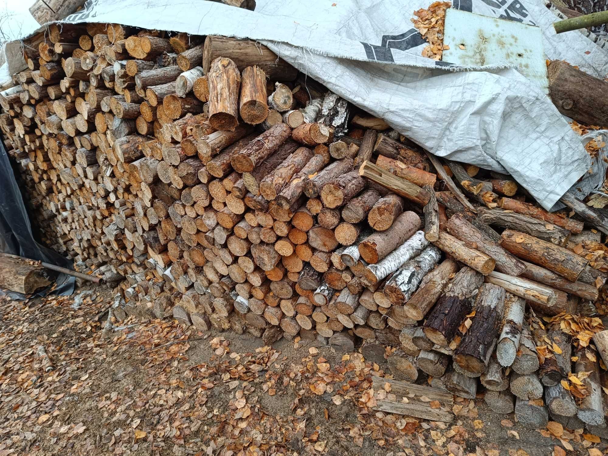 Drewno opałowe pocięte