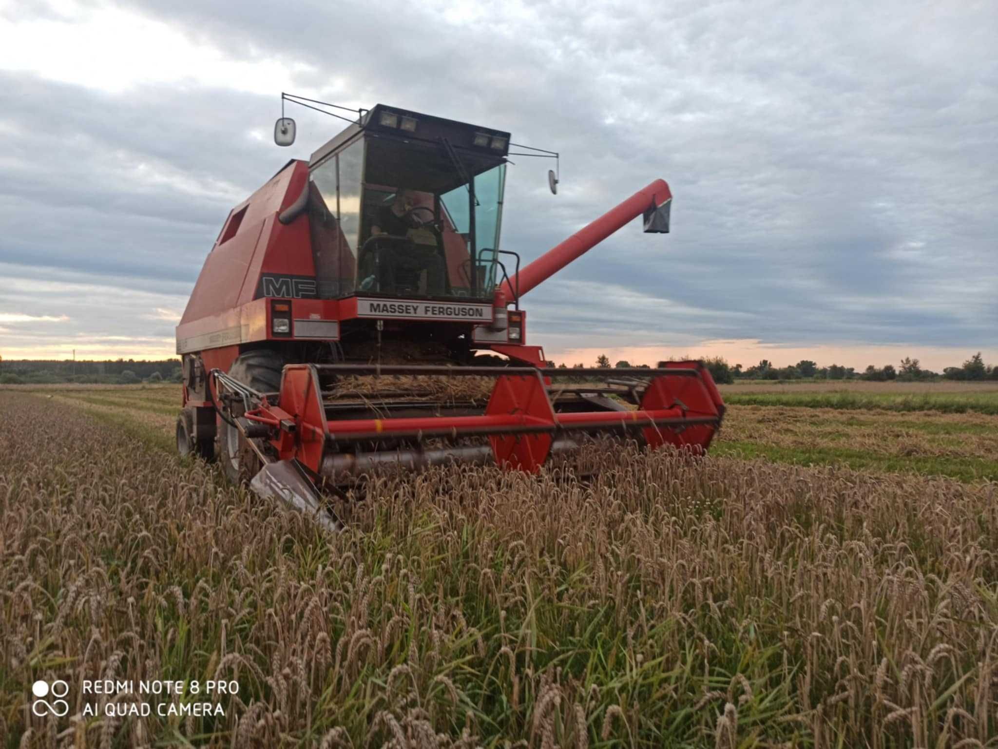 Sprzedam Kombajn Zbożowy MF 29 Xp