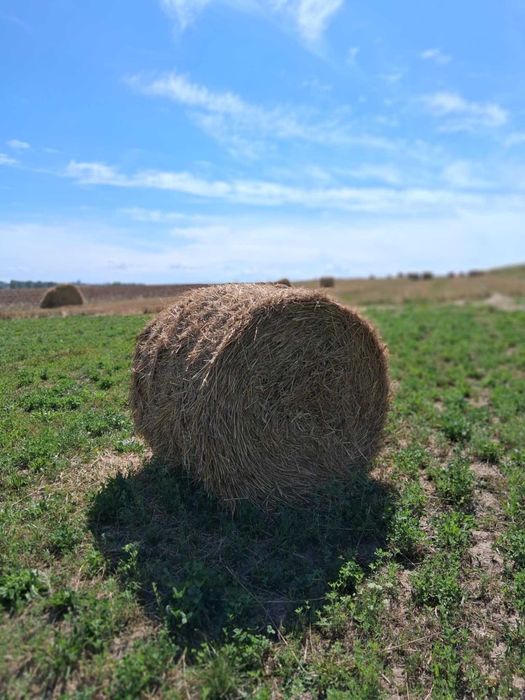 Sprzedam bele słomy