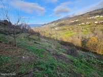 Terreno  para venda