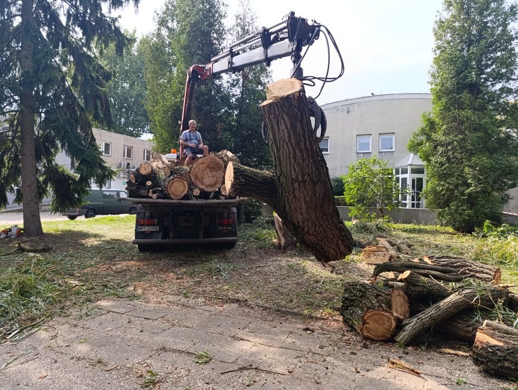 Wycinka drzew. Rebak do galezi. Warszawa okolice