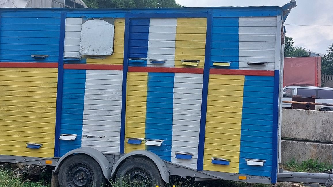 Продається павільйон - причі та бус Рено Майстер п для бджіл