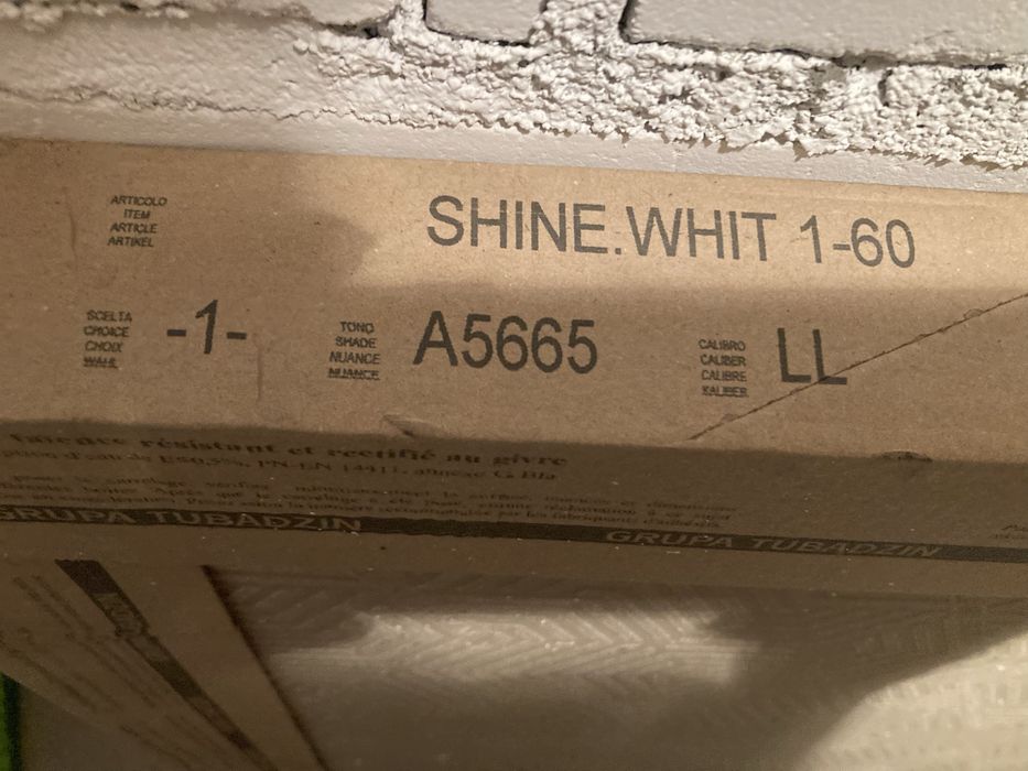 Gres shinestone white poler 60/60