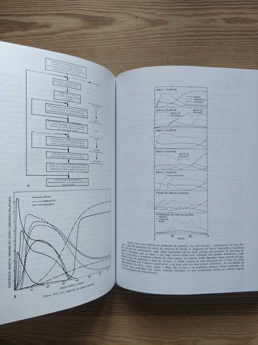 Fundamentos de Ecologia, de Eugene Odum.