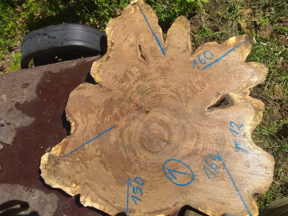 plaster dębowy 150 cm duży na stolik loft