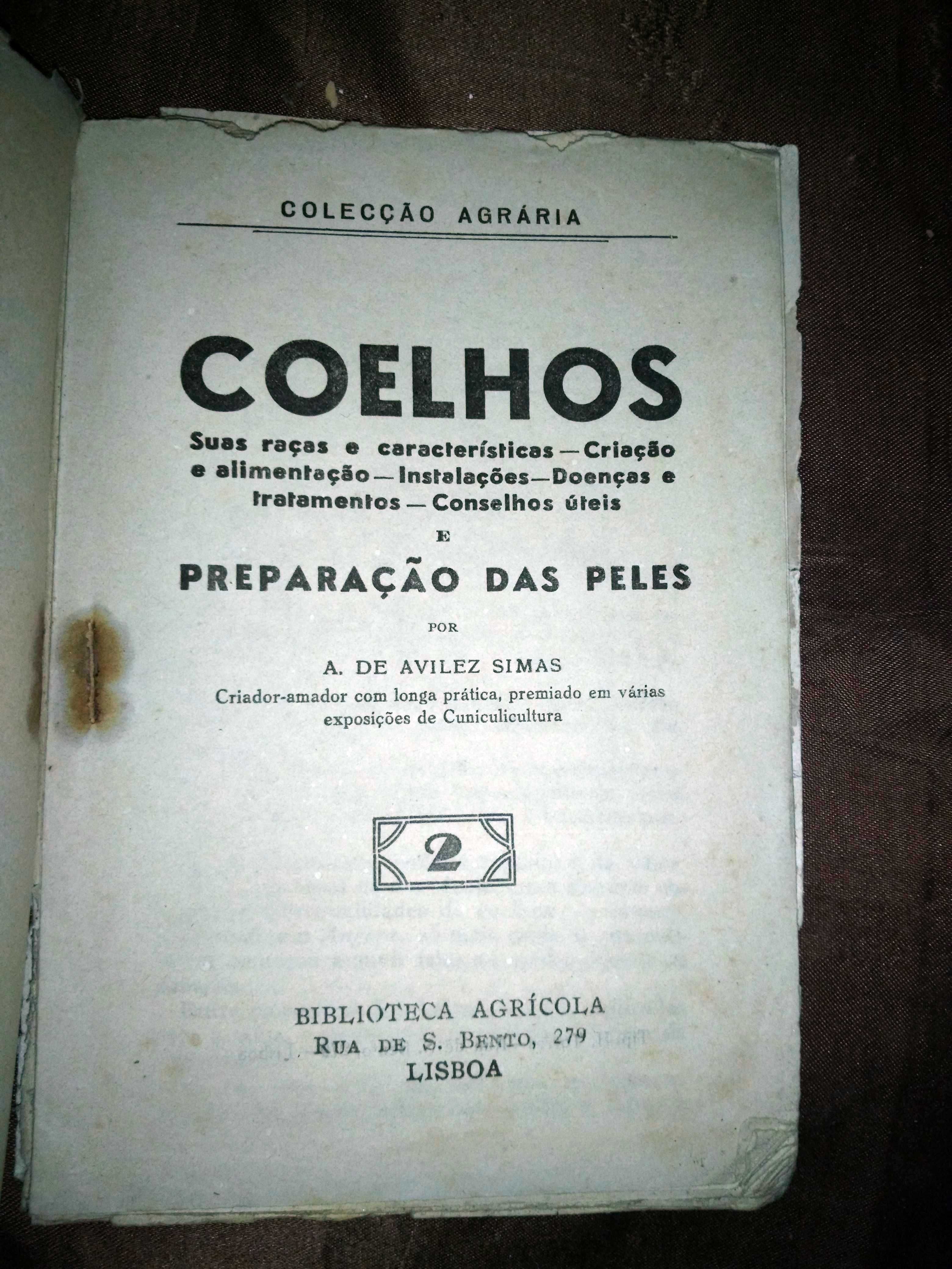 Coelhos - Colecção Agrária