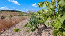 Terreno  para venda