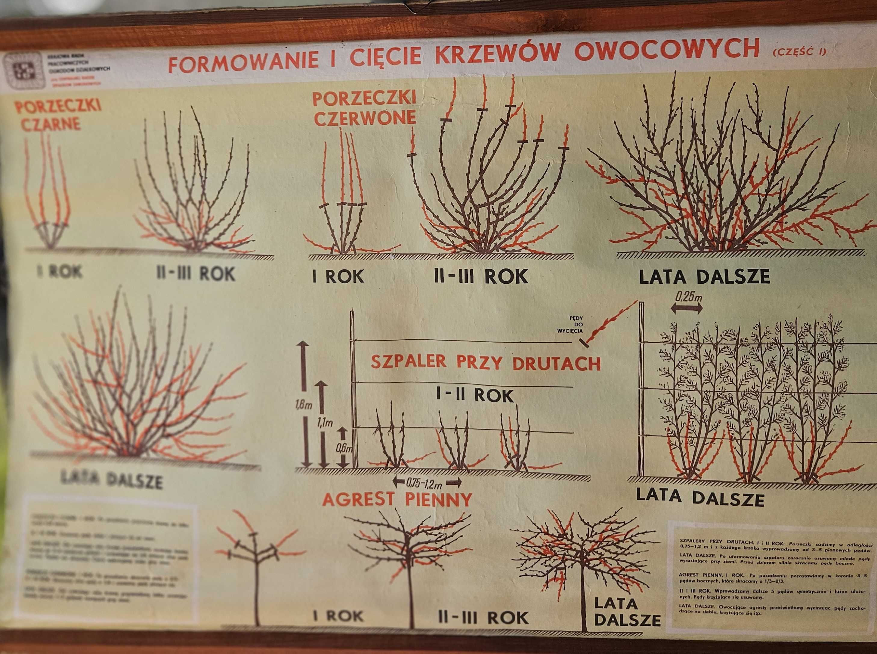 Tablice instruktażowe ogrodnicze PRL