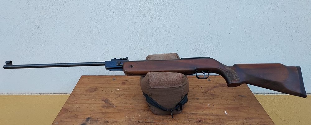 Carabina pressão de coleção BSF70