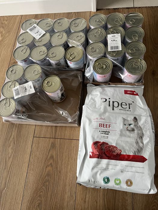 Karma dla kota sucha i mokra