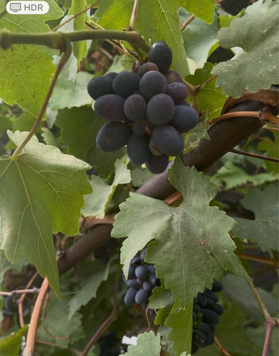 Продается дом в хорошем месте!