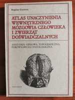 Atlas unaczynienia wewnętrznego mózgowia Goetzen Ossolineum