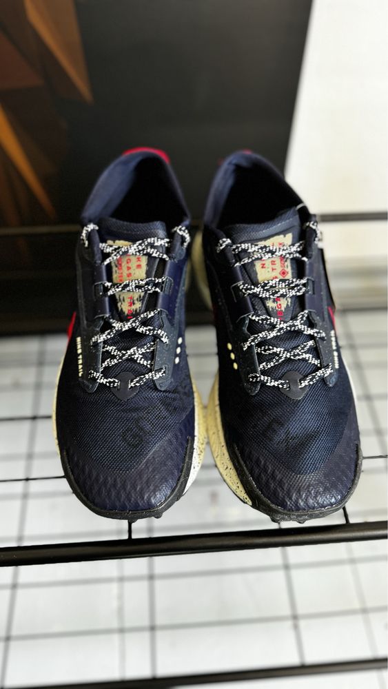Кросівки Nike Pegasus 3 Trail GoreTex Dc8793-401 оригінал 42,5 43
