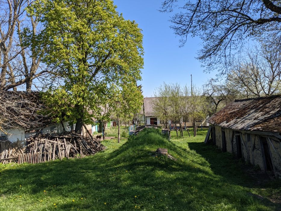 Будинок, присадибна ділянка та город