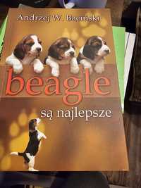 Beagle są najlepsze