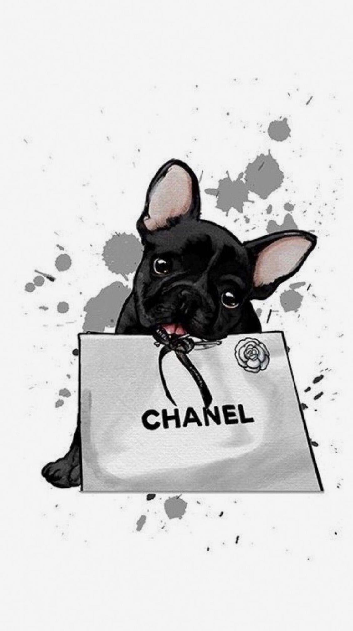 Pet sitting Lisboa