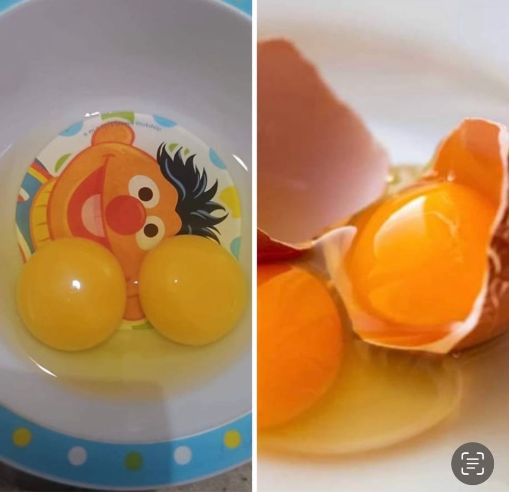 OVOS DE DUAS GEMAS