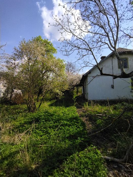 Будинок з земельною ділянкою