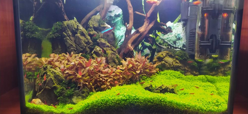 Акваріум з рибками 22л