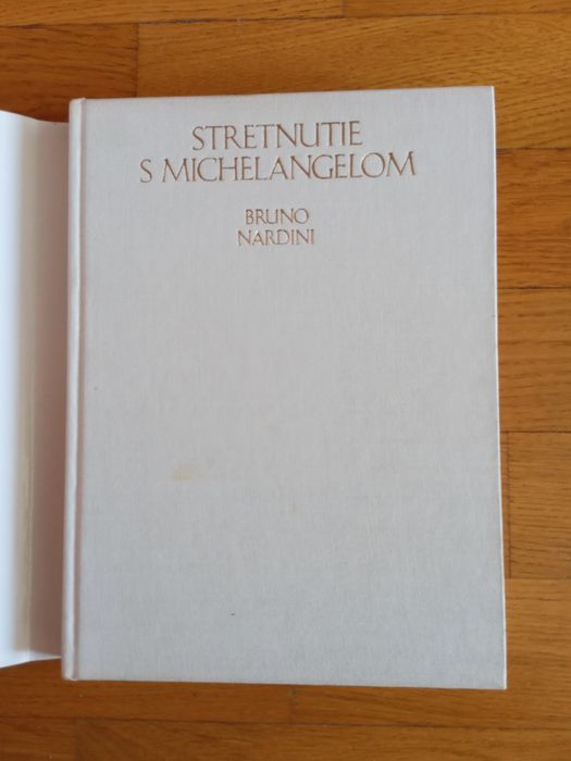 Книга "Встреча с Микеланджело".