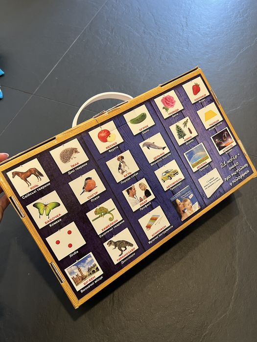 Вундеркінд з пелюшок Велика валіза - картки Домана