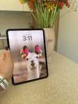 iPad Pro 11" M4 | 256GB | Gwiezdna Czern | Gwarancja + Etui Apple