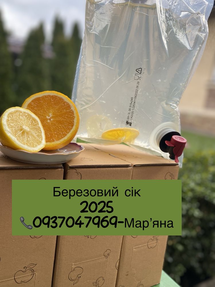 Сік березовий 2025  3л, 5 л