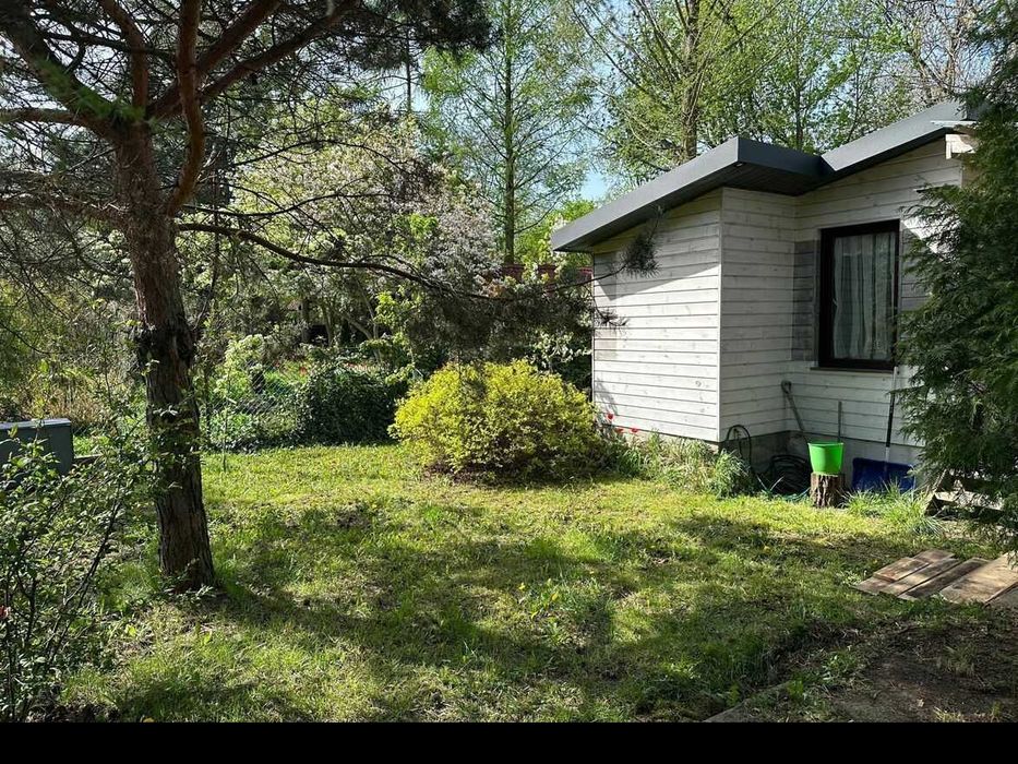 Ogródek działkowy Waszyngtona ROD Saska Kępa 500 m2 + Drewniany domek