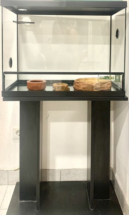 Terráreo para reptil