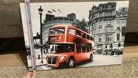 Картини Кішка та Британський Автобус