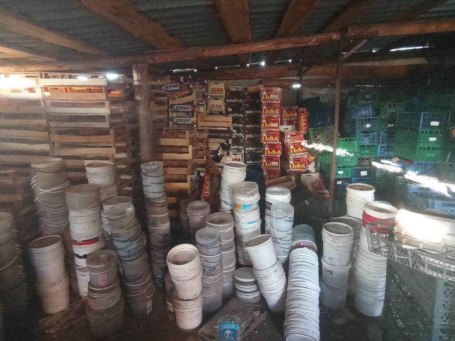 Продам ящики пластикові дерев'яні