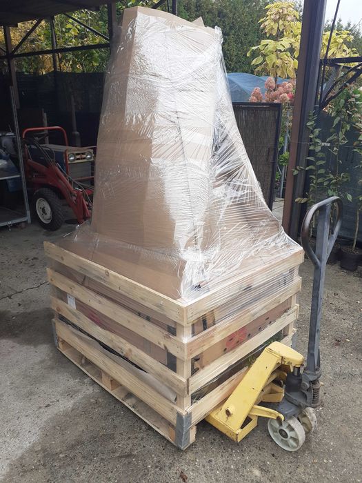 Hortensja bukietowa p9 i pienna C 2