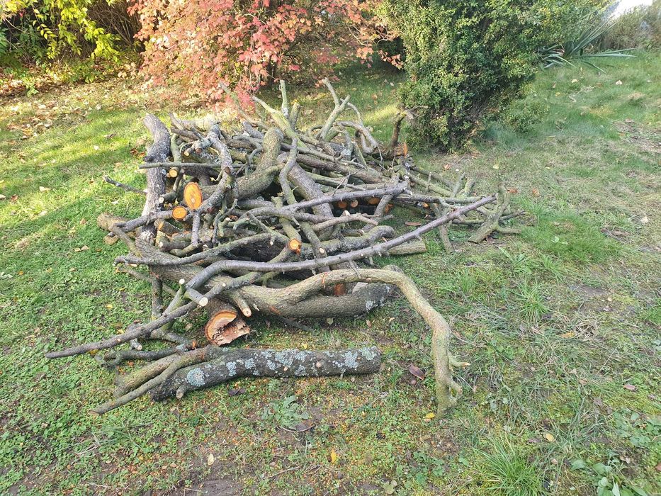 Drewno do wędzarni - śliwa