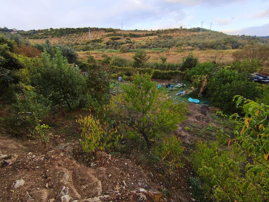 Quintinha às portas de Lisboa