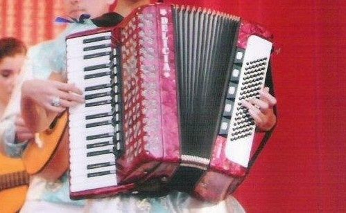 Acordeon Delicia Carmen 24