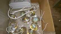 halogeny