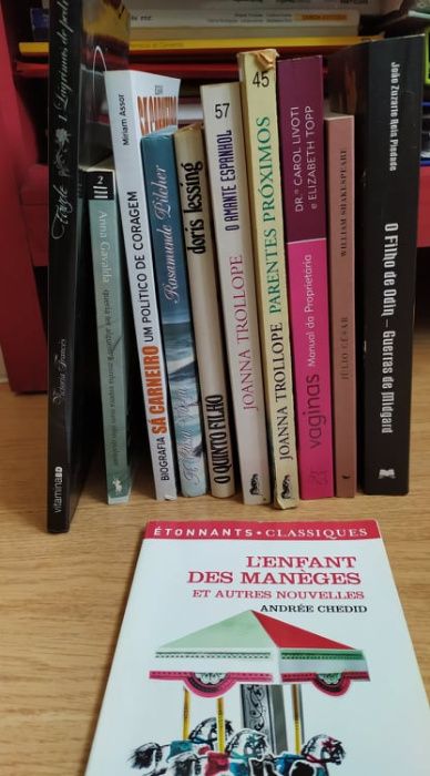 Lote livros variados