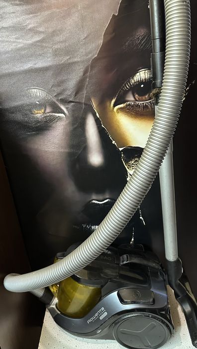 Пилосос Rowenta RO6983EA